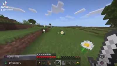 Minecrf