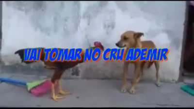 Shitpost que fiz '-