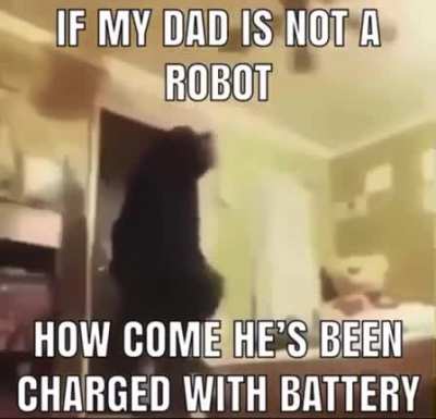 robot