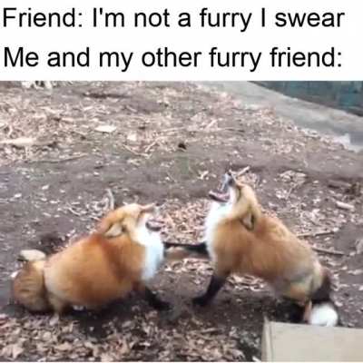 ofcourse_irl