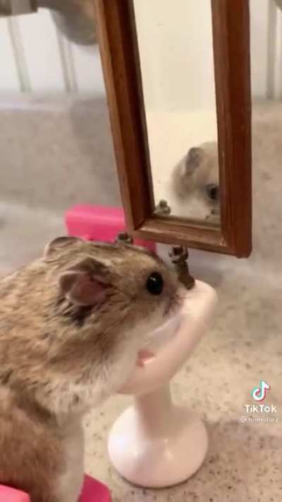 Drop the skincare routine
