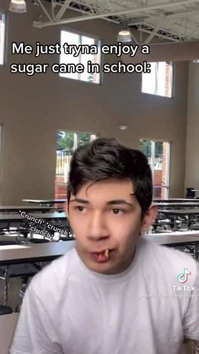 Eating a sugar cane