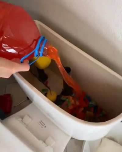 what the fuck are you doing