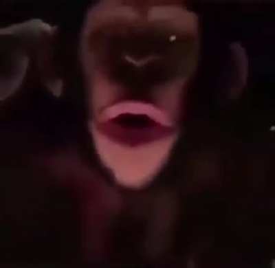 OOOO OOOO OOO OOOO OOOOO OOOO OOOOOOO OOOOO WHOOAAA WHOAOA OOAAAAAAA