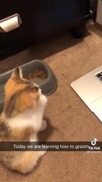 Learning how to groom