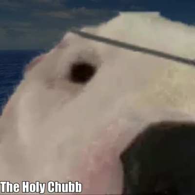 Doge in the Ocean