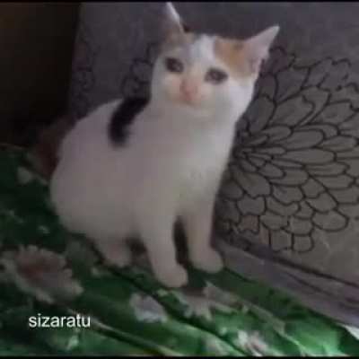 Sad music 😢😿😔