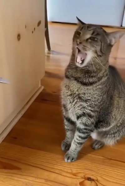 Oop!