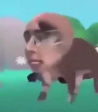 Cursed and Confused