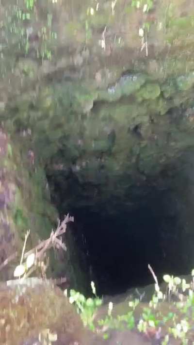 Found a death pit. So naturally…