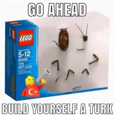 Cock roach
