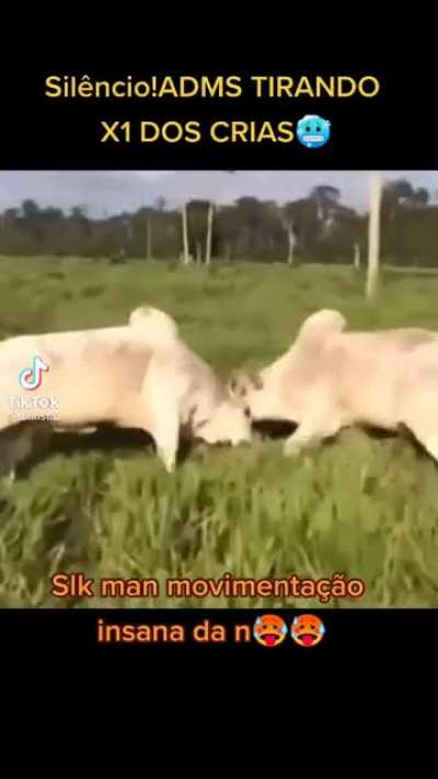 Silêncio mero mortal