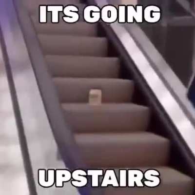 Title