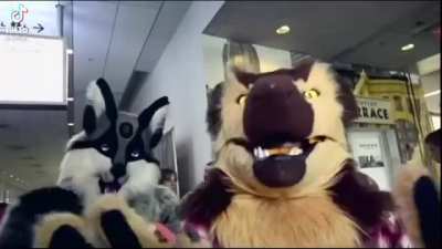 just watch the whole video