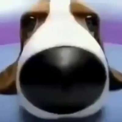 Newgrounds es un sitio web estadounidense creado para recolectar animaciones y trabajos Flash, música, dibujos y literatura. Fue creado en 1995 por Tom Fulp, aunque desde 1991 ya existía