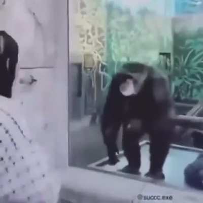 👏👏👏👏👏