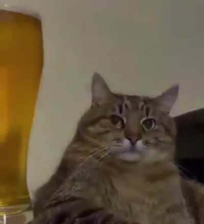 Happy Hump Day everyone! (Best with sound)