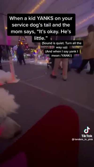 Maybe teach your toddler to be nice to things that aren't theirs.