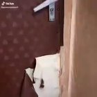 Плохой мальчик