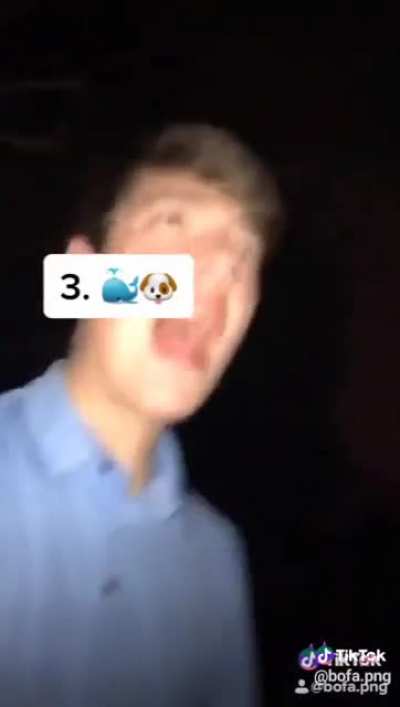 Top 5 noises to make in your neighborhood at 1am.