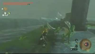 Moldy Lizalfos