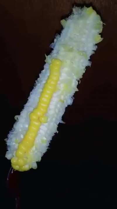 Heres a guy eating corn
