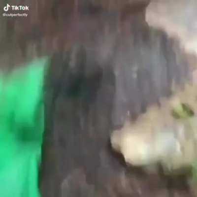 The slide yeeted the child