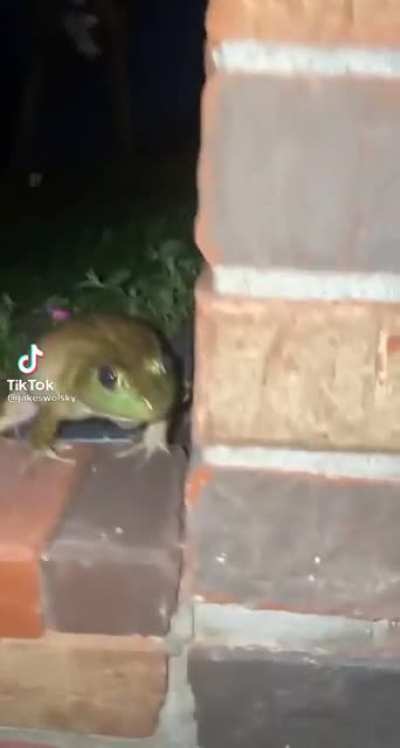 ÖÆEEEEEEE