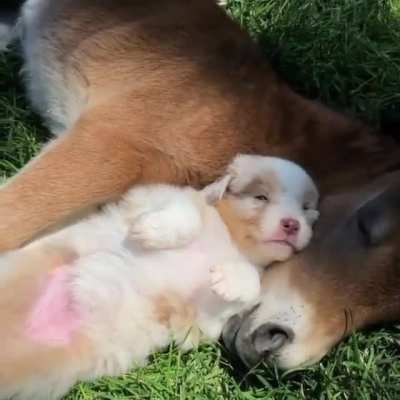 Besties For Life.