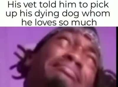 Doggy Moment
