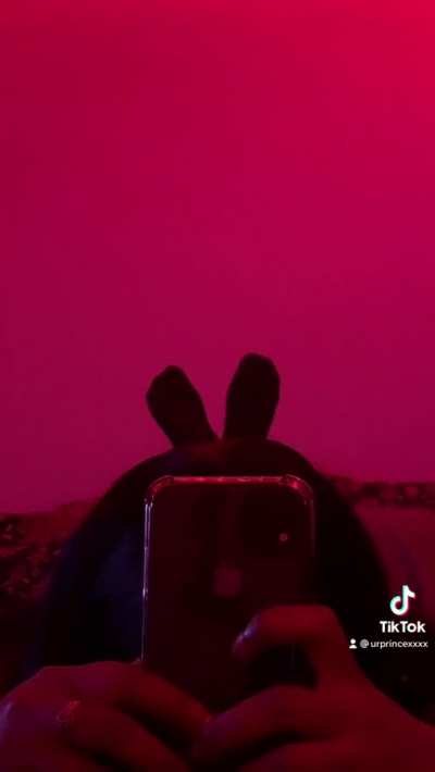 bugs bunny 🐰