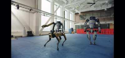 Robo Motown to twist your way into 2021