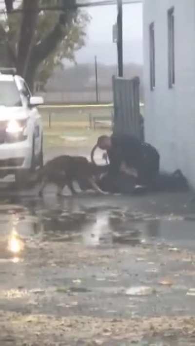 Guy with Knife Punches Cop. Meets the Pupper.
