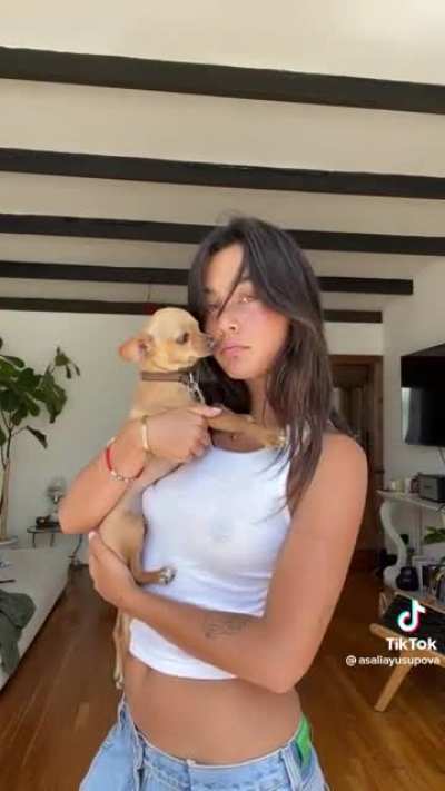 cute dog