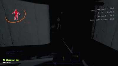Has anyone ever seen such a glitch??