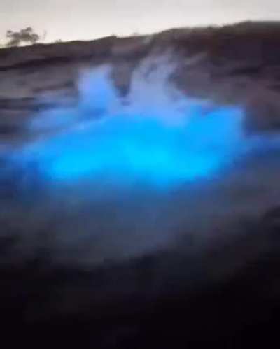 Bioluminescent algae in California