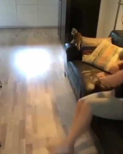 Surprise Attack