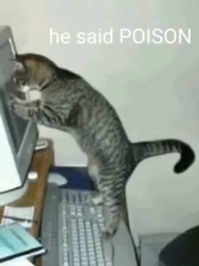 eu_nvr