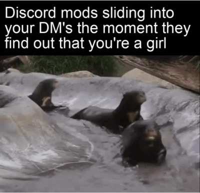 There they come!