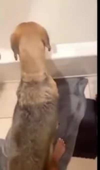 Plz upvote