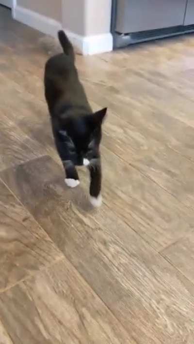 He didn’t like my singing