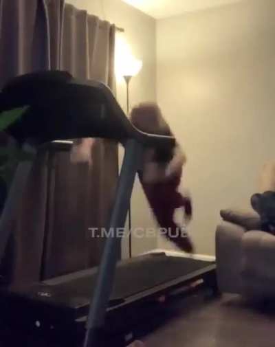HMC while I use the treadmill