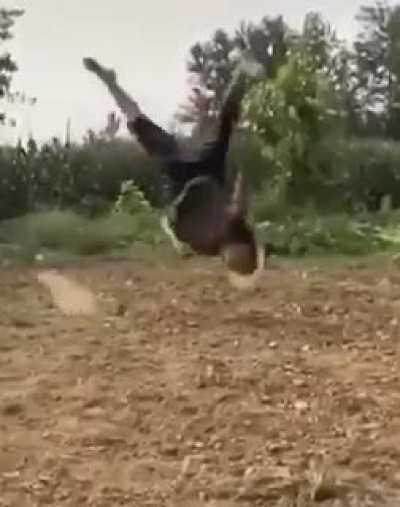 Martial Art