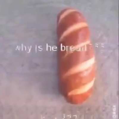 cachorro pão