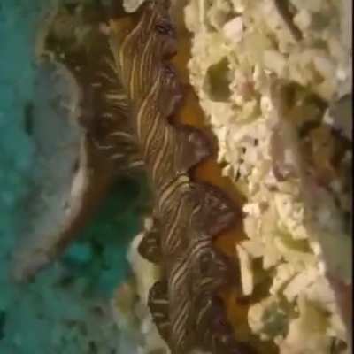 WEEEEEK 188 OF FLATWORM FRIDAY