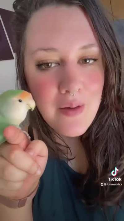 🐥