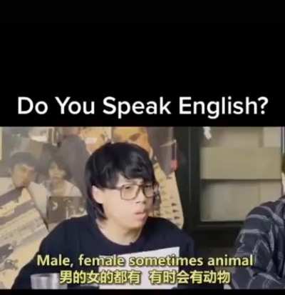 Do you speak English?