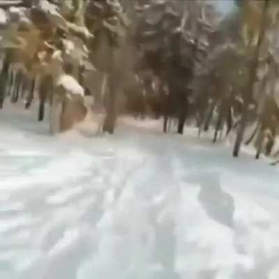 Bear Mode