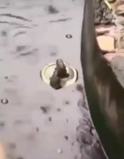 Titanic ayrıntılı özet