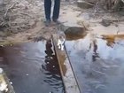 Cat doesn’t want to walk on water...